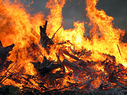 Myös Etelä-Floridan suomalaiset pääsevät juhlimaan perinteistä juhannusta Kerhotalolla, jossa säiden salliessa poltetaan myös komea kokko.