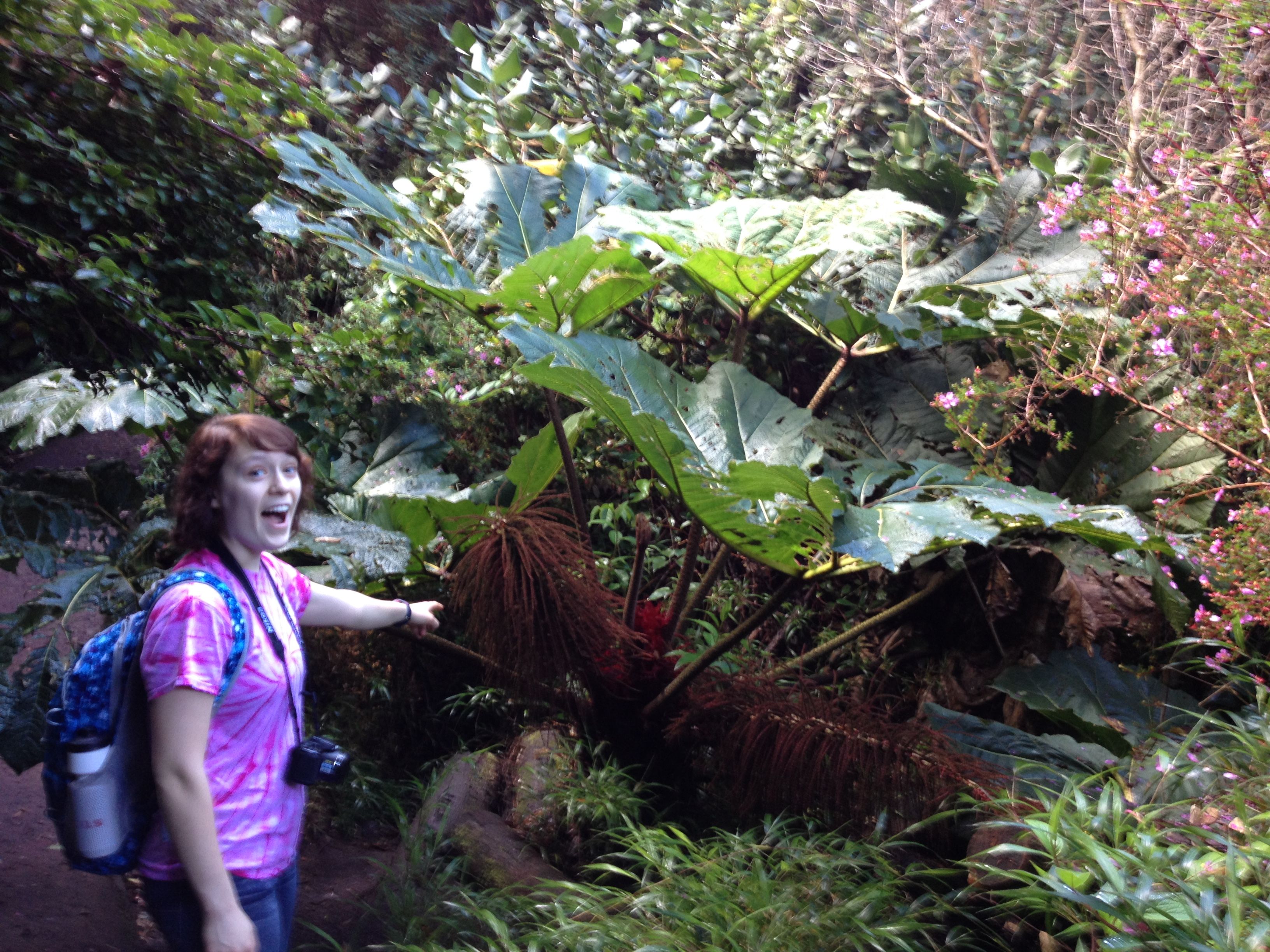 Kolumnisti "Teron" tytär Tracy hämmästeli Costa Rican luonnon vihreyttä, mikä selittyy runsaalla vuosittaisella sademääräälä.